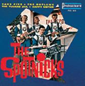 http://www.spotnicks.net/records/images/02/3930273.gif