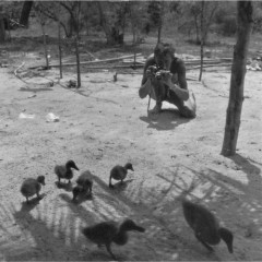 1968-02-03-Thailand_018
