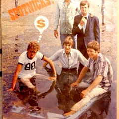 Spotnicks $